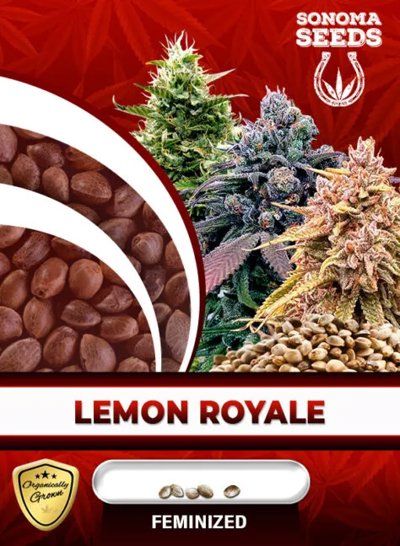 Lemon Royale