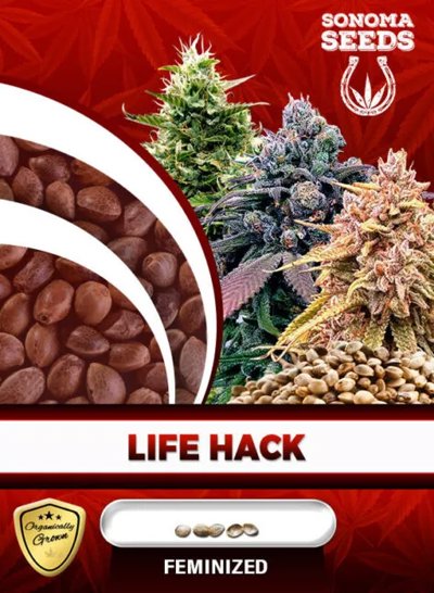 Life Hack