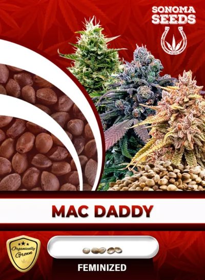 Mac Daddy