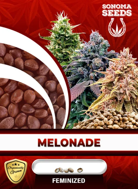 melonade-image