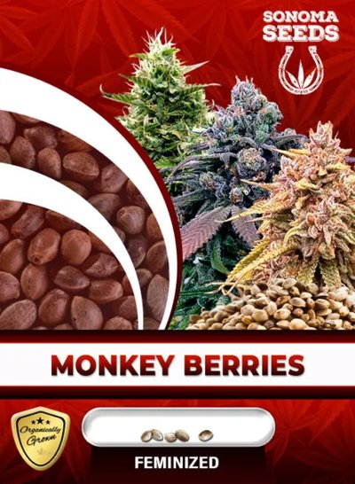 Monkey Berries