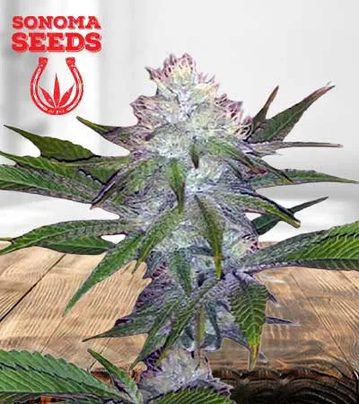 OG Wedding Cake