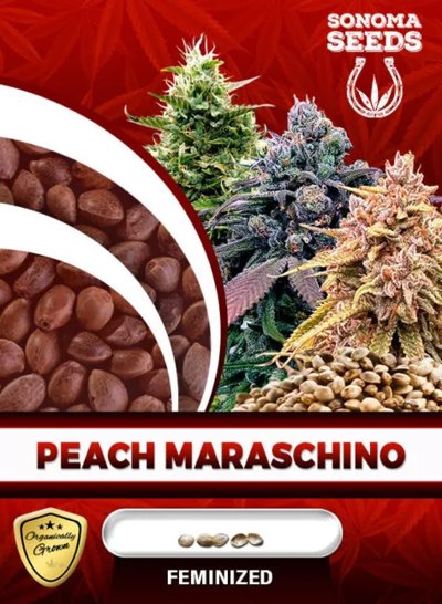 Peach Maraschino
