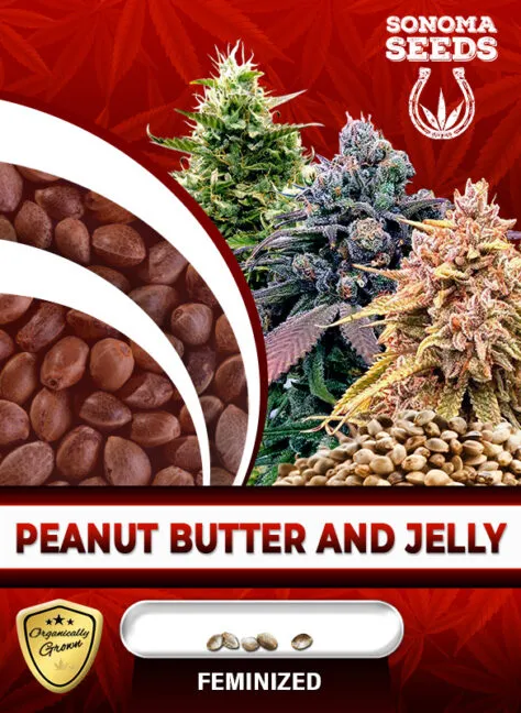 peanut-butter-and-jelly-image