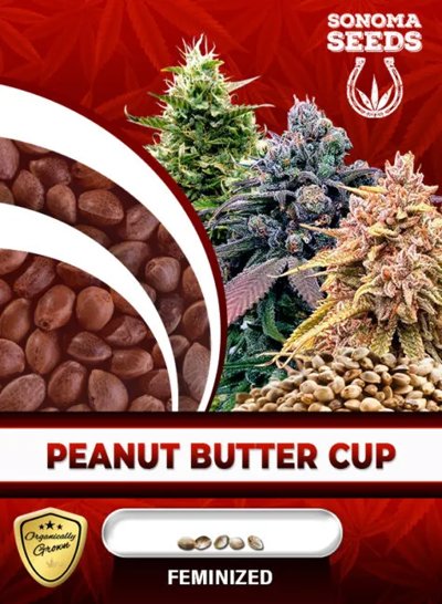 Peanut Butter Cup