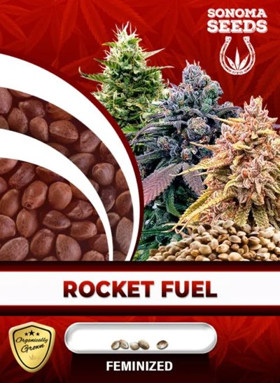 Rocket Fuel