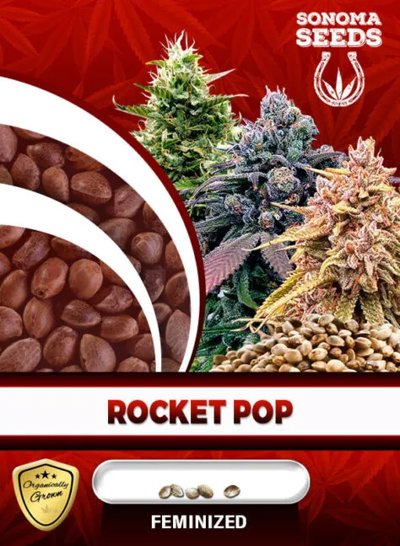 Rocket Pop