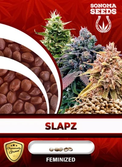 Slapz