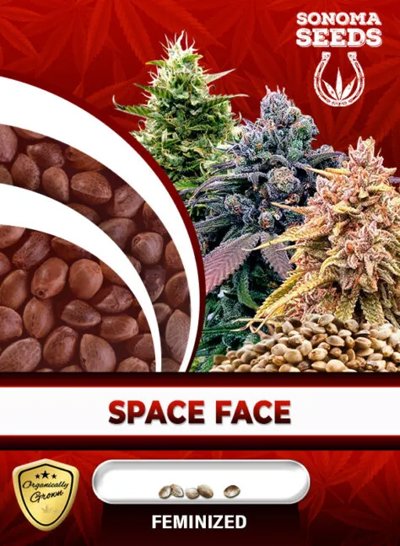 Space Face