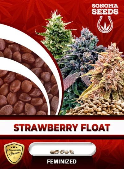 Strawberry Float