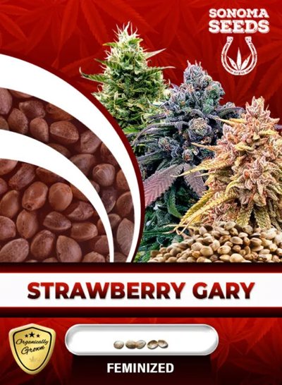 Strawberry Gary
