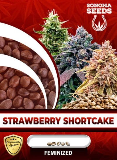 Strawberry Shortcake