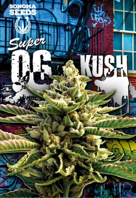 super-og-kush-image