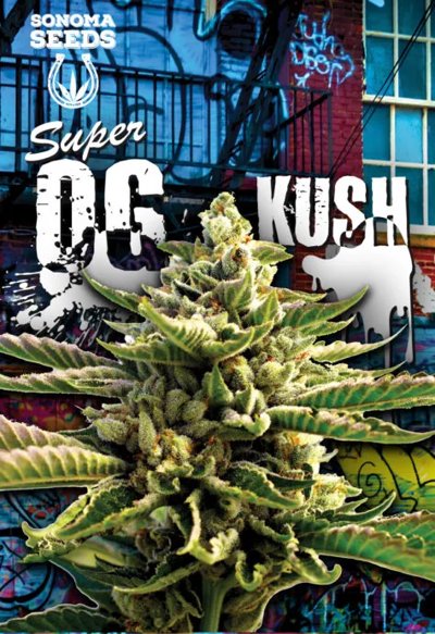 Super OG Kush
