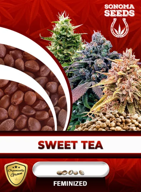 sweet-tea-image