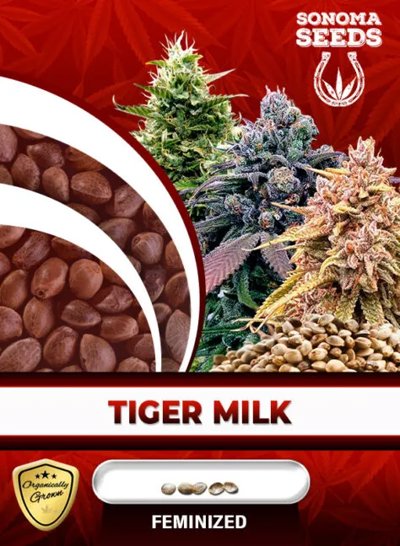 Tiger Milk