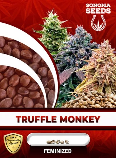 Truffle Monkey