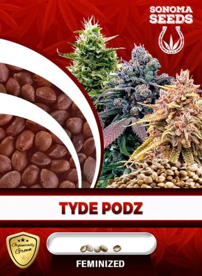 Tyde Podz