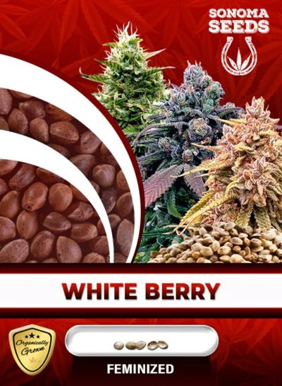 White Berry