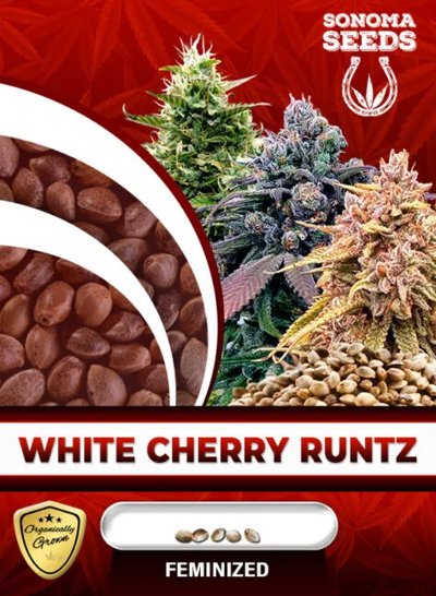 White Cherry Runtz