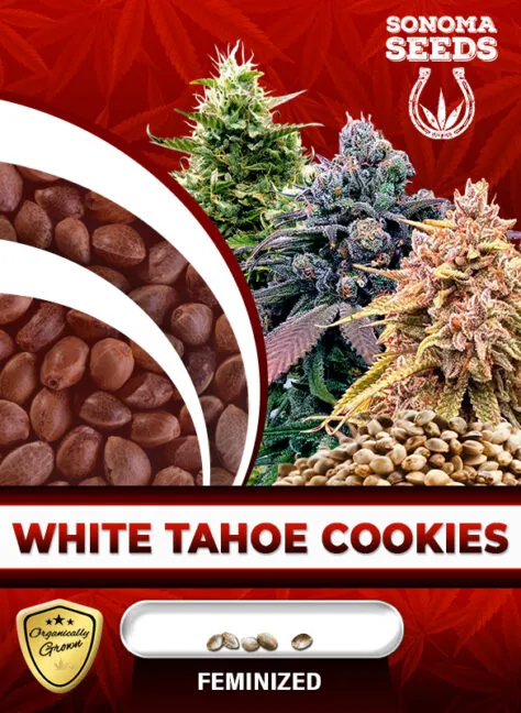 white-tahoe-cookies-image