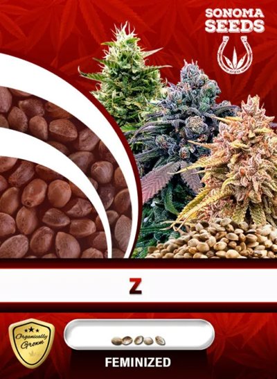 Z