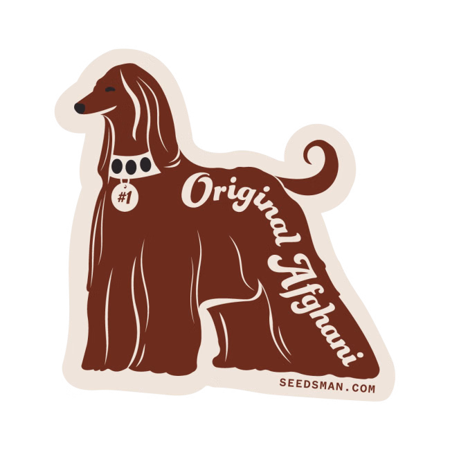 original-afghani-1-regular-image