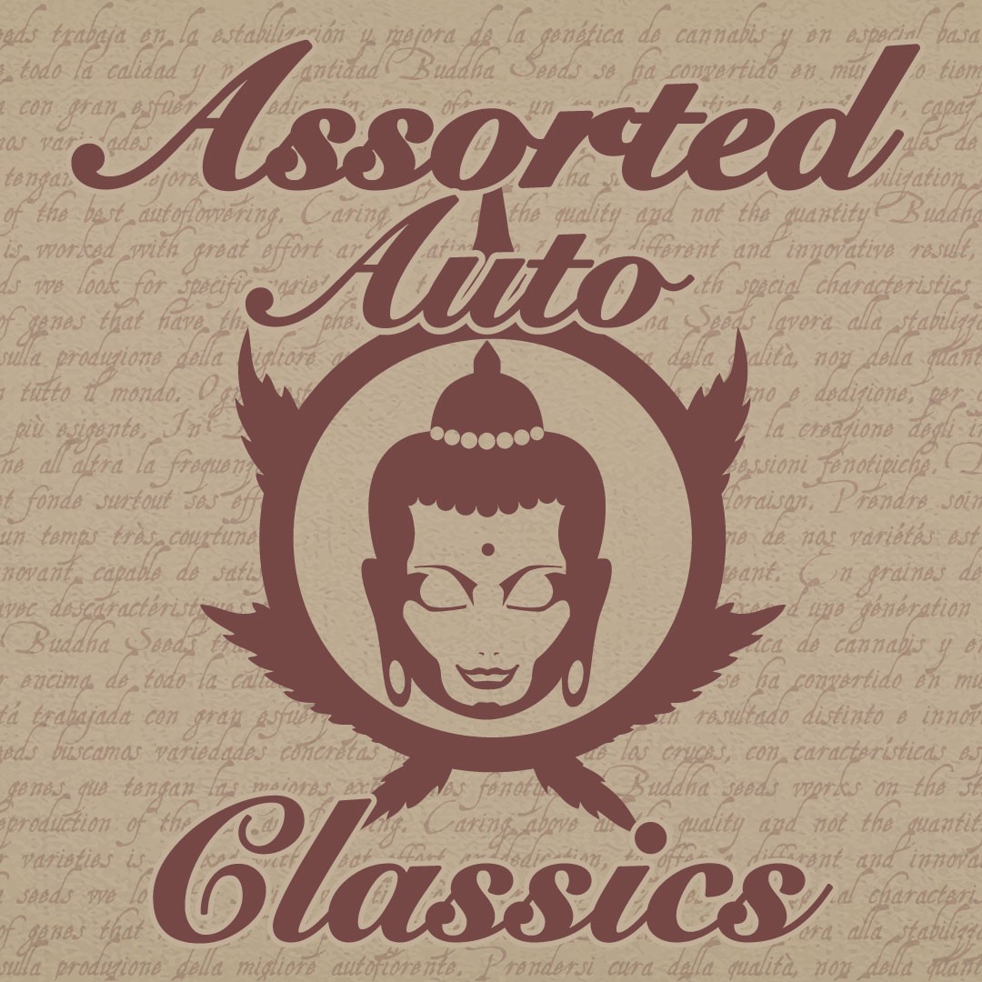 assorted-auto-classics-image