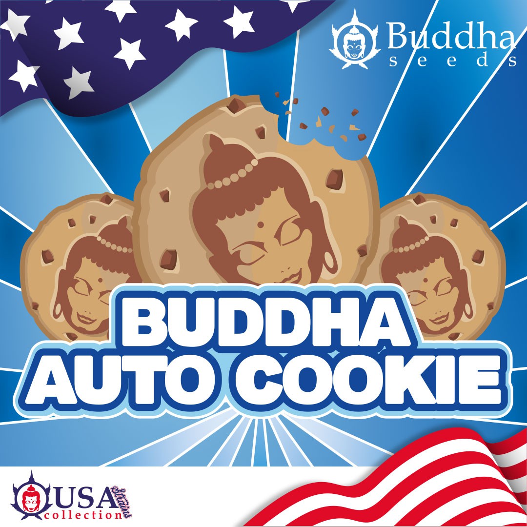 auto-cookie-image