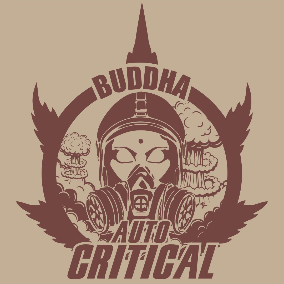 auto-critical-image