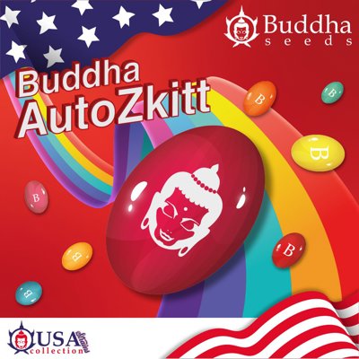 Auto Zkitt