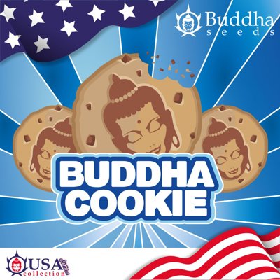 Cookie
