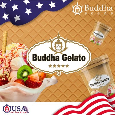Gelato