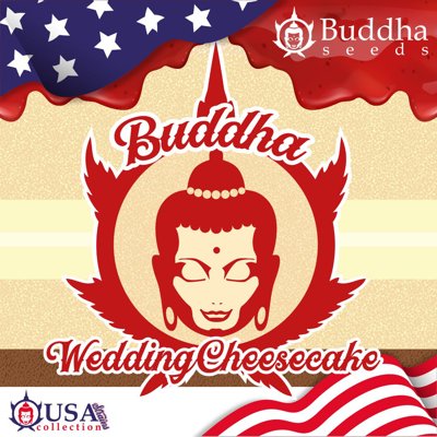 Wedding Cheesecake