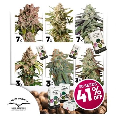 Autoflower Package Deal
