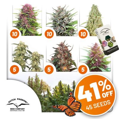 Outdoor Package Deal