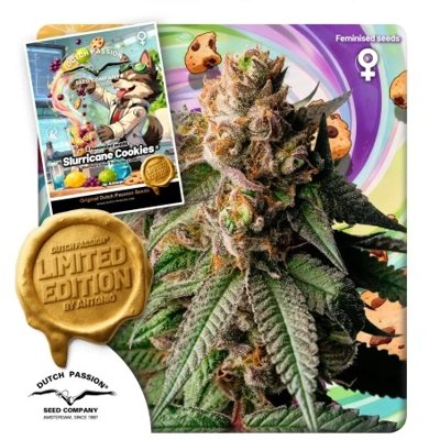 Slurricane Cookies