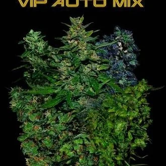 VIP Auto Mix