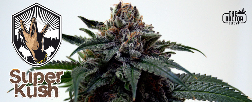 super-kush-image