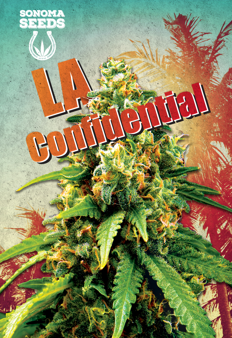 la-confidential-indica-image