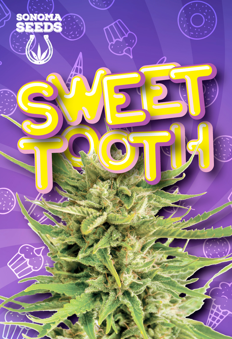 sweet-tooth-indica-image