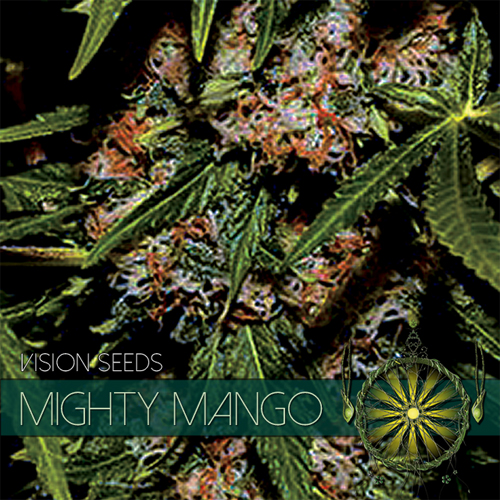 mighty-mango-bud-image