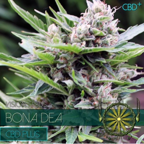 bona-dea---cdb+-image