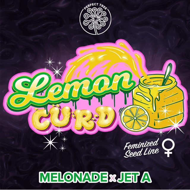 lemon-curd-image