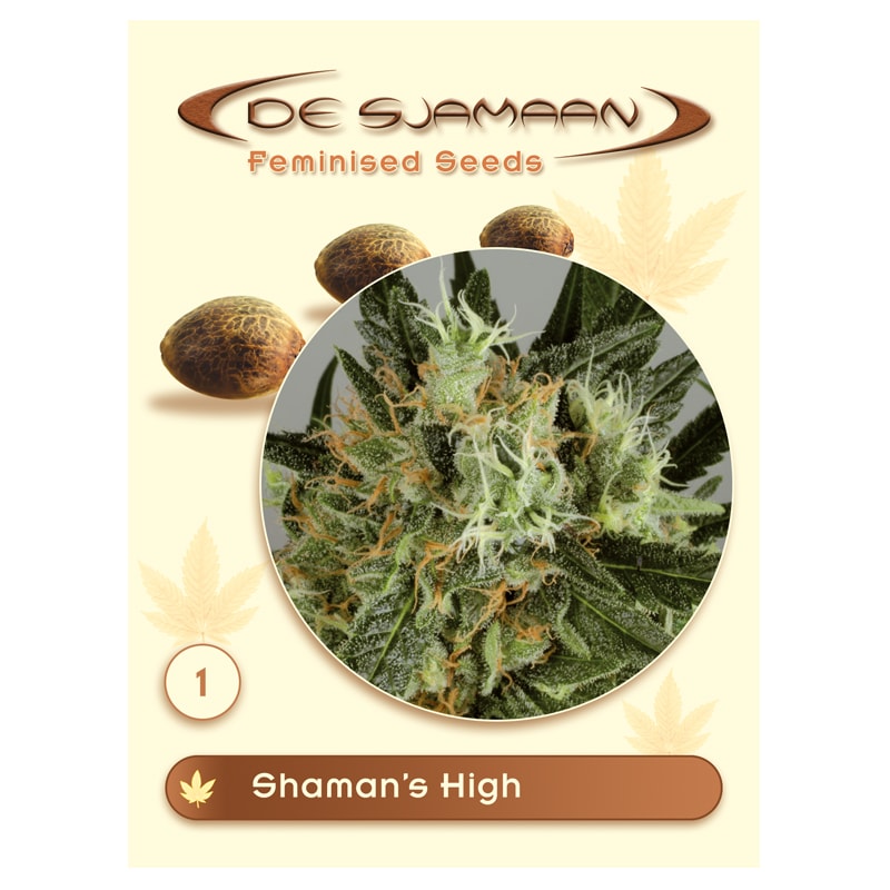 shaman's-high-image