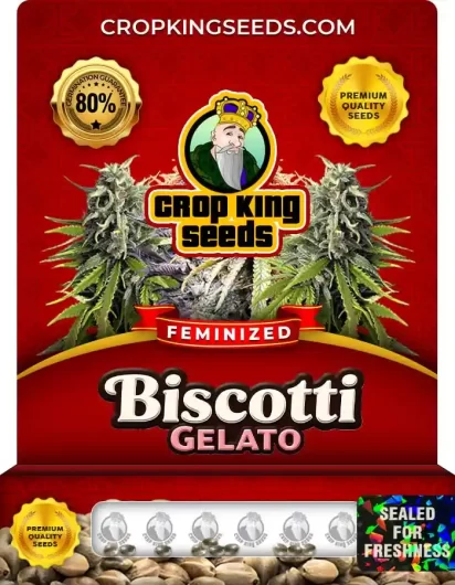 biscotti-gelato-image