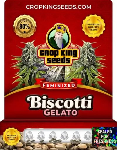 Biscotti Gelato
