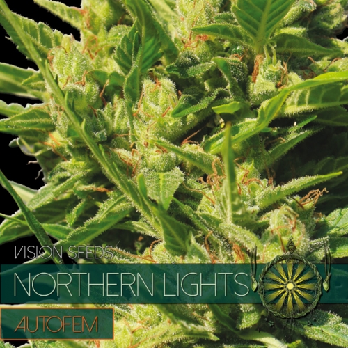 northern-lights-auto-image
