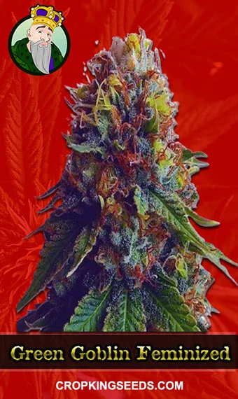 green-goblin-feminized-image