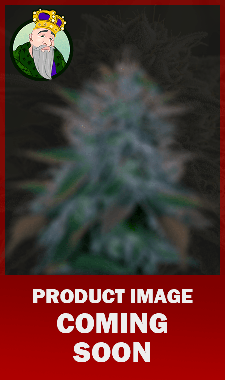 mothers-day-promo-two-free-seeds-image